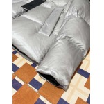 2025年11月17日秋冬新作Can-ada gooseダウンジャケット高品質人気商品/QIU工場-