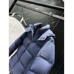 2025年11月17日秋冬新作Louis Vuittonダウンジャケット高品質人気商品/QIU工場