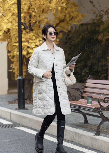 2025年11月18日入荷秋冬新作Dior ダウンジャケット...