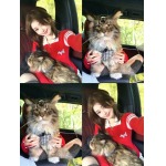 2025年11月18日入荷秋冬新作Thom Browneファッション/誕生日プレゼント/贈り物 can工場