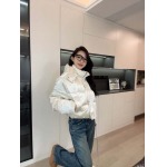 2025年11月23日入荷秋冬新作Celineダウンジャケットファッション/誕生日プレゼント/贈り物 can工場