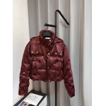 2025年11月23日入荷秋冬新作Loeweダウンジャケットファッション/誕生日プレゼント/贈り物 can工場