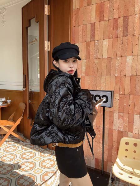 2025年11月23日入荷秋冬新作Loeweダウンジャケット...