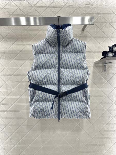 2025年11月23日入荷秋冬新作Diorダウンジャケットフ...