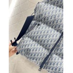 2025年11月23日入荷秋冬新作Diorダウンジャケットファッション/誕生日プレゼント/贈り物 can工場