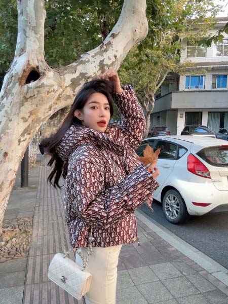 2025年11月23日入荷秋冬新作Dior ダウンジャケット...