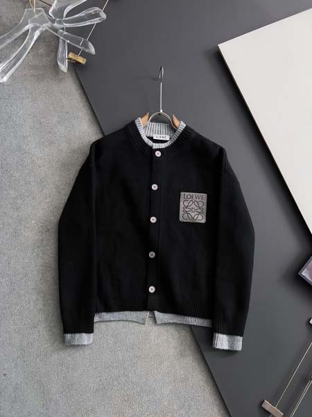 2025年11月26日入荷秋冬新作Loeweセーター高級なプ...