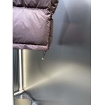 2025年11月13日秋冬新作CELINEダウンジャケット高品質人気商品/LDF工場