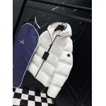 2025年12月3日秋冬新作Monclerダウンジャケット高品質人気商品/LDF工場