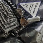 2025年12月3日秋冬新作Monclerダウンジャケット高品質人気商品/LDF工場