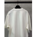 2025年12月4日秋冬新作Louis Vuitton半袖 tシャツ高品質人気商品/LDF工場