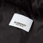 2025年12月4日秋冬新作Burberryダウンジャケット高品質人気商品/LDF工場