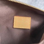 2025年12月10日入荷Louis Vuitton バッグ高品質新作/誕生日プレゼント/ZC工場