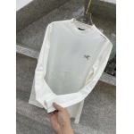 2025年12月12日入荷新作ARCTERYX長袖tシャツ/長袖tシャツ秋冬高品質/人気/限定版/Knt工場