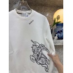 2025年12月15日入荷新作Burberry パーカー秋冬高品質/人気/限定版/Knt工場