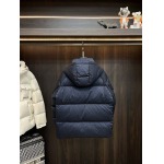 2025年12月16日入荷新作Louis Vuittonダウンジャケット秋冬高品質/人気/ASB工場