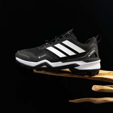 2026年1月10日入荷新品adidas Terrex Sk...