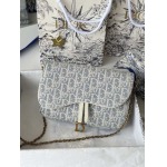 2026年1月13日新作高品質DiorバッグDenim :21.5x12.5x3.7/GQ工場