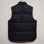 2026年1月16日新作DIORダウンジャケット高品質人気商品/誕生日プレゼント/FF工場