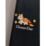 2026年1月20日新作DIOR半袖 tシャツ高品質人気商品/誕生日プレゼント/FF工場