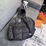 2026年1月20日新作Louis vuittonダウンジャケット高品質人気商品/誕生日プレゼント/FF工場