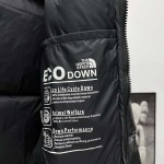 2026年1月21日新作THE NORTH FACEダウンジャケット高品質人気商品/誕生日プレゼント/FF工場