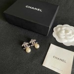2026年2月2日入荷新品シャネルピアスギフト/誕生日/記念品/アクセサリーxin工場