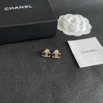 2026年2月2日入荷新品シャネルピアスギフト/誕生日/記念品/アクセサリーxin工場