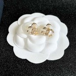 2026年2月2日入荷新品シャネルピアスギフト/誕生日/記念品/アクセサリーxin工場