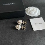2026年2月2日入荷新品シャネルピアスギフト/誕生日/記念品/アクセサリーxin工場