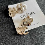 2026年2月2日入荷新品シャネルピアスギフト/誕生日/記念品/アクセサリーxin工場