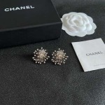 2026年2月2日入荷新品シャネルピアスギフト/誕生日/記念品/アクセサリーxin工場