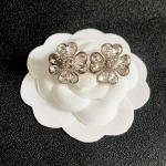 2026年2月2日入荷新品シャネルピアスギフト/誕生日/記念品/アクセサリーxin工場
