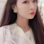 2026年2月2日入荷新品シャネルピアスギフト/誕生日/記念品/アクセサリーxin工場