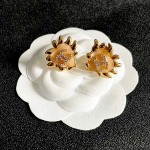 2026年2月2日入荷新品シャネルピアスギフト/誕生日/記念品/アクセサリーxin工場