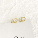2026年2月5日入荷新品Diorピアスギフト/誕生日/記念品/アクセサリーxin工場