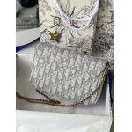 2026年2月19日新作高品質Diorバッグ /LYS工場