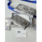 2026年2月19日新作高品質Diorパスポート /LYS工場