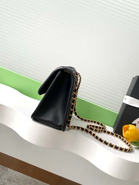 2025年7月17日入荷新作シャネル バッグ最高級品25C  AS4795 Size15-25-8恋人プレゼント/誕生日/母の日/母のひプレゼント/お祝い女性結婚祝い/KK工場