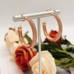 2026年2月3日入荷新品カルティエピアスギフト/誕生日/記念品/アクセサリーxin工場