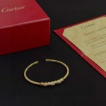 2026年2月3日入荷新品カルティエ腕輪/ブレスレットギフト/誕生日/記念品/アクセサリーxin工場