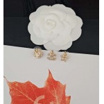 2026年2月4日入荷新品Chanelピアスギフト/誕生日/記念品/アクセサリーxin工場