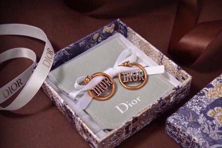 2026年2月5日入荷新品Diorピアスギフト/誕生日/記念...