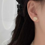 2026年2月5日入荷新品Diorピアスギフト/誕生日/記念品/アクセサリーxin工場