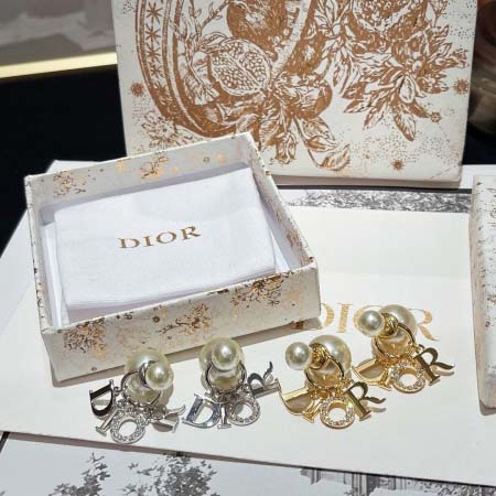 2026年2月5日入荷新品Diorピアスギフト/誕生日/記念...