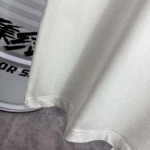 2026年3月17日新作Dior半袖 tシャツ人気商品/誕生日プレゼント/FF工場