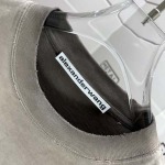 2026年3月17日新作Alexander Wang半袖 tシャツ人気商品/誕生日プレゼント/FF工場
