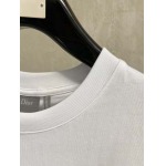 2026年3月19日春夏新作Dior半袖 tシャツ原版復刻高級素材/A5工場