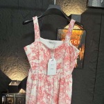 2026年3月21日入荷早春新作Dior 女性用ファッション/誕生日プレゼント/贈り物 can工場