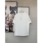 2026年3月30日入荷新作Loro piana半袖Tシャツ春夏高品質超厳選★入手困難/LD工場